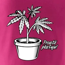 Konopi prostě pěstuju