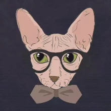 Hipster sphynx