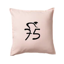 Cyklista slaví pětasedmdesátku (75)