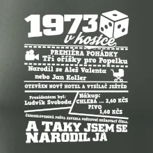 1973 v kostce