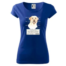 Lump a darebák labrador