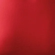 Bagrista v kruhu - vlastní nápis