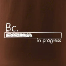 In progress  titul Bc. bakalář / bakalářka