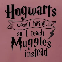 Harry - Hogwarts wasn’t hiring, so I teach Muggles instead