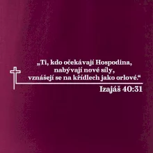 Citáty z bible - Izajáš 40:31