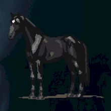 Černý kůň pixel