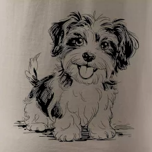 Havanský psík skica