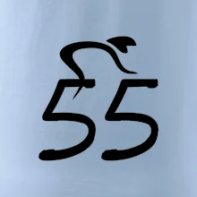 Cyklista slaví pětapadesátku (55)