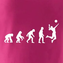 Evoluce volejbal culík Evoluce volejbal culík