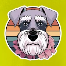 Knírač - fenka a květiny