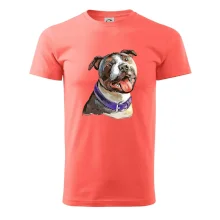 Americký stafordširský teriér  kreslený