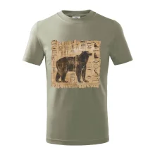 Egyptské hieroglyfy medvěd