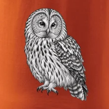 Zvířata Šumavy – Puštík bělavý