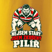 Nejsem starý, jsem zkušený pilíř