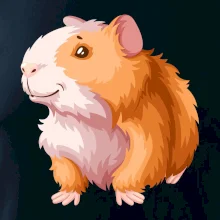 Morče - kreslené, bílo oranžové