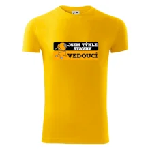 Jsem týhle stavby vedoucí