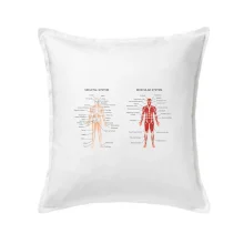 Skelet and Moscular system