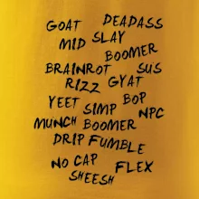 Generace Z - Gen Z slovník