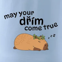 May your dřím come true