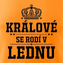 Králové se rodí v lednu