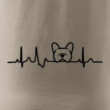 EKG Francouzský buldoček hlava