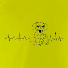 EKG křivka jezevčík