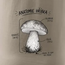 Anatomie hříbka