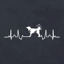 Český strakatý pes EKG