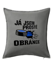 Já jsem prostě obránce (hokej)