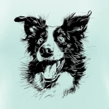 Černobílá karikatura Border kolie