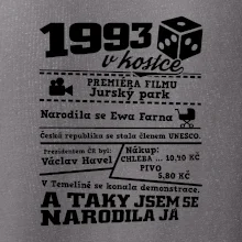 1993 v kostce