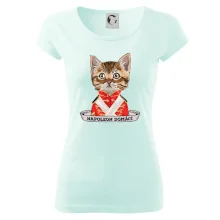 Napoleon domácí kočka