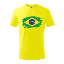 Brazílie vlajka štětkou