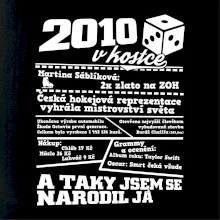 2010 v kostce