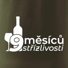 9 měsíců střízlivosti