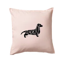 Jezevčík - Dachshund