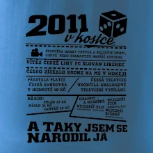 2011 v kostce