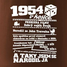 1954 v kostce