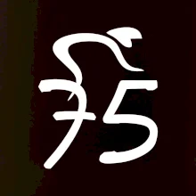 Cyklista slaví pětasedmdesátku (75)