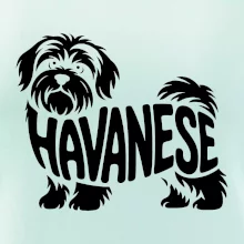 Havanese nápis v těle