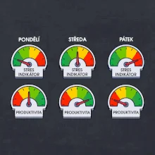 Průběh pracovního týdne
