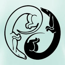 Jezevčíci - Jin jang