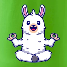 Yoga meditace - lama