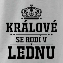 Králové se rodí v lednu