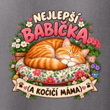 Nejlepší babička a kočičí máma spící zrzavý kocour