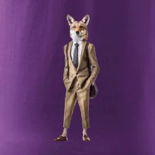 Vlk elegán Vlk elegán