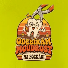 Odebírám moudrost na počkání