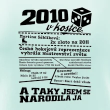 2010 v kostce