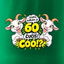 Těmhle holkám je 60, čučíš co?