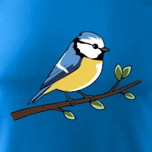 Sýkorka modřinka na větvi